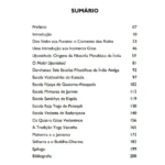 A Filosofia dos Rishis da Índia Antiga - Imagem 4